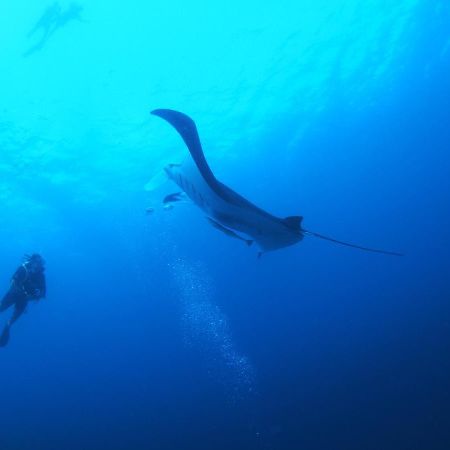 Hotel Unwind Dhigurah Dhigurah  Esterno foto