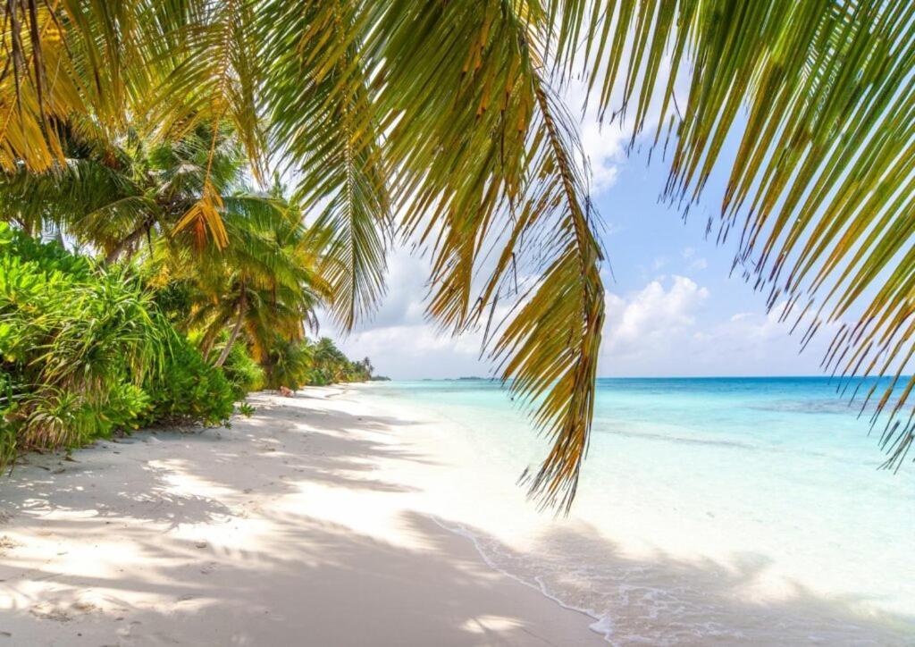Hotel Unwind Dhigurah Dhigurah  Esterno foto