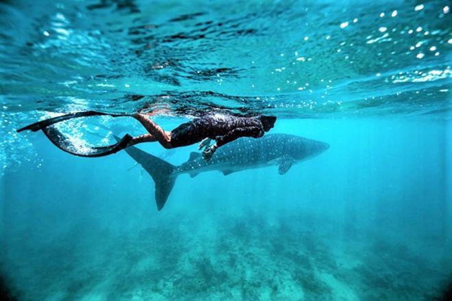 Hotel Unwind Dhigurah Dhigurah  Esterno foto