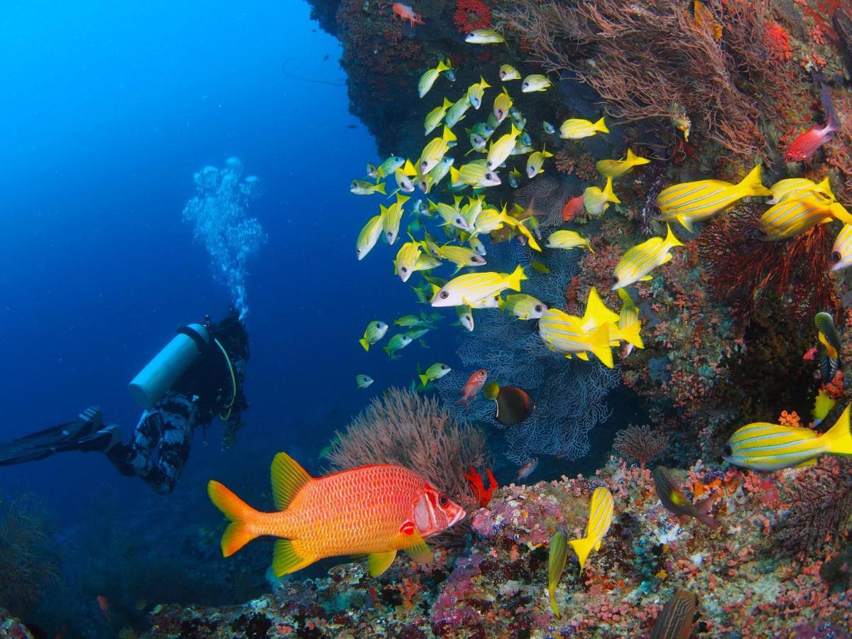 Hotel Unwind Dhigurah Dhigurah  Esterno foto